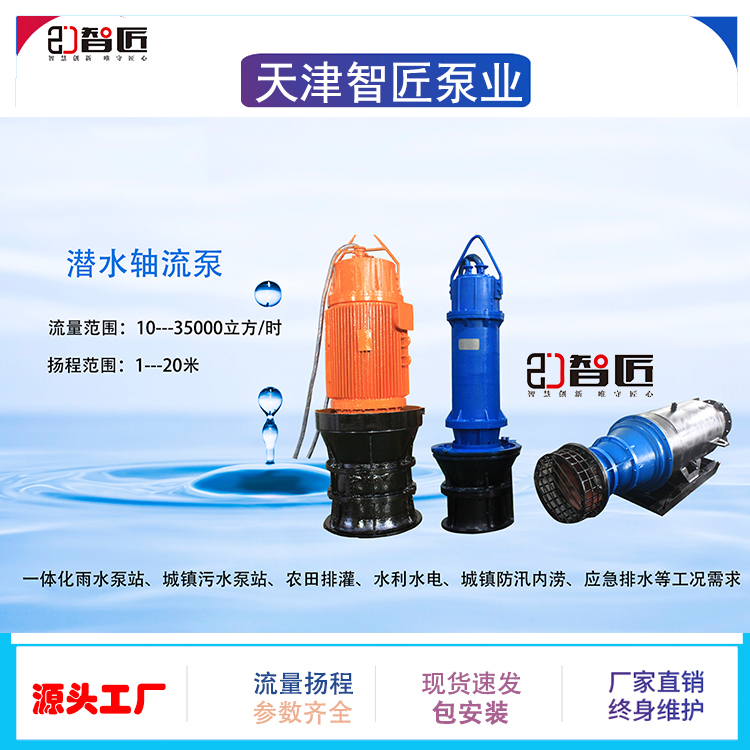 智匠 潜水轴流泵 厂家直销 非标定制