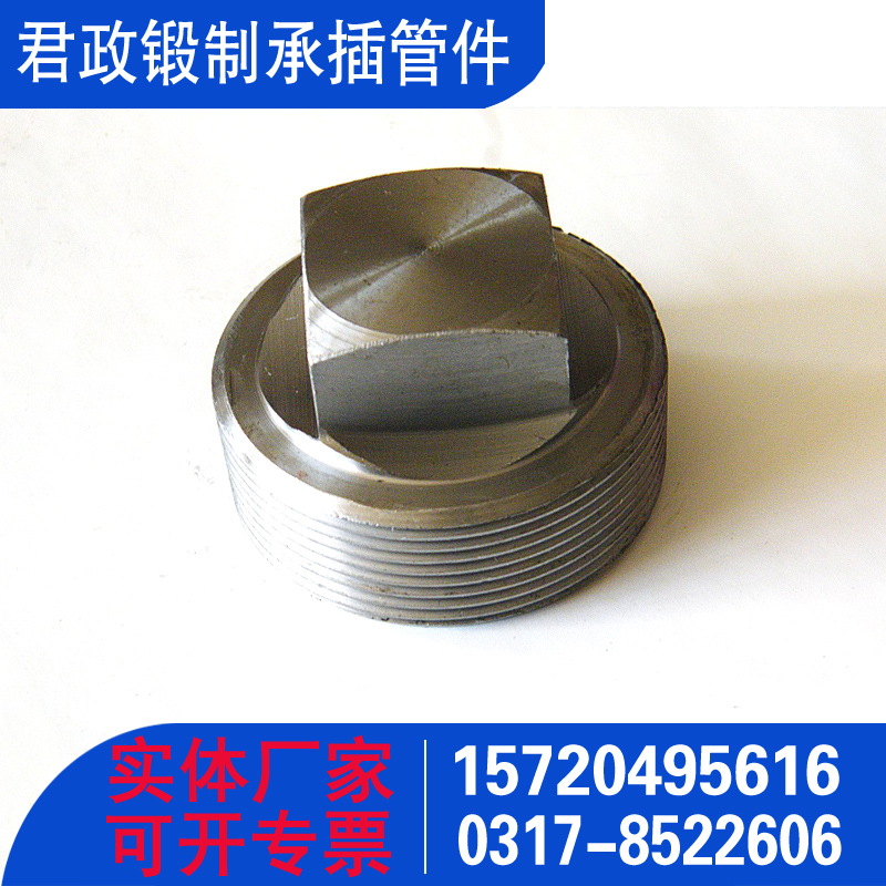 A105补芯堵头 方形丝堵 圆形堵头 六角丝堵 六角堵头 承插管件 锻制管件厂家 国标GB/T14383