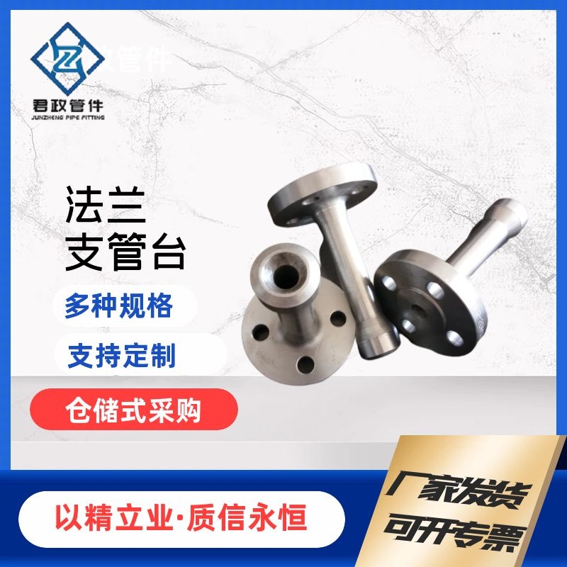 定制法兰支管台 法兰支管台厂家 锻制管件厂家 承插件