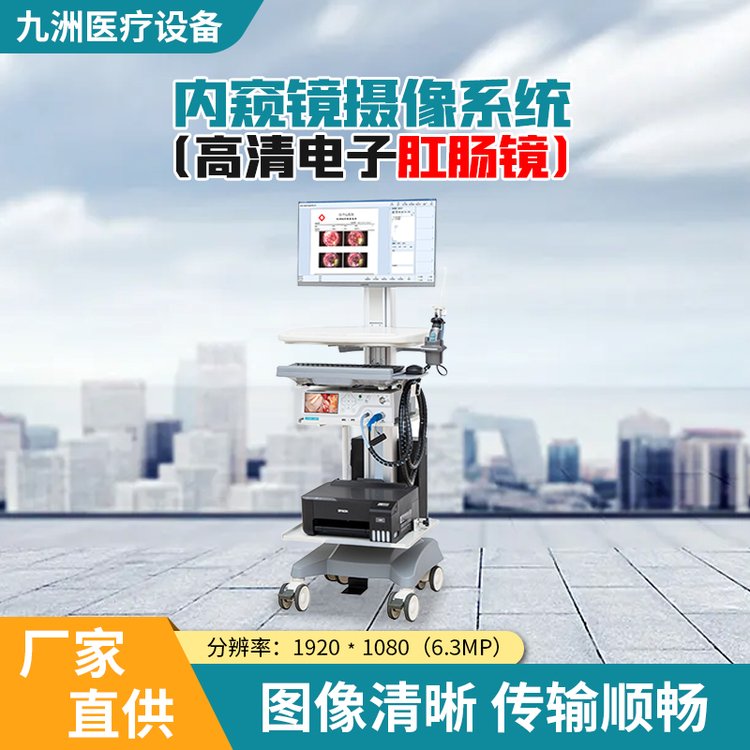 肛肠科专用肛肠检查治疗仪 超高清电子肛门镜内窥镜摄像系统 九洲厂家直供