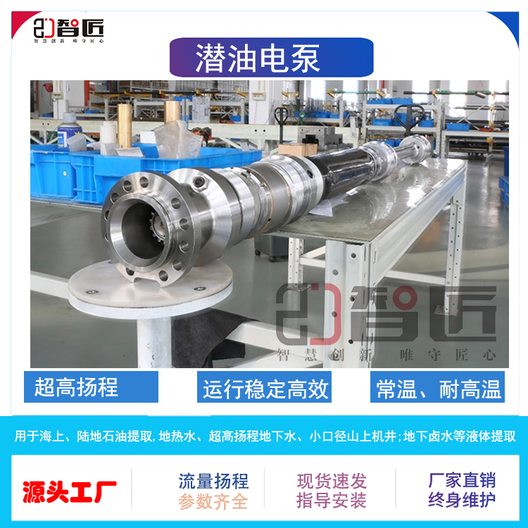 智匠 潜油电泵 只做精品 质量保证