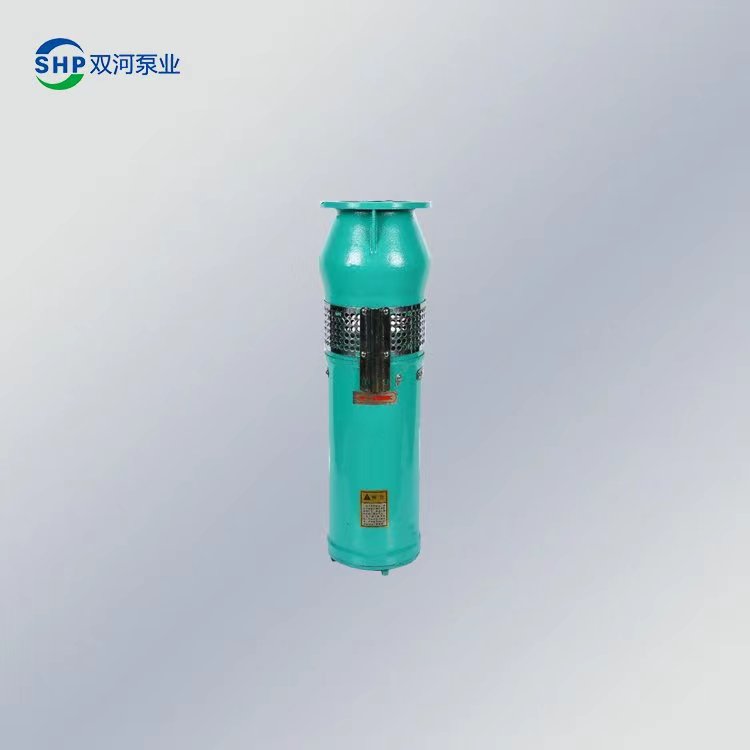 QSP喷泉泵 潜水泵 可频繁启停 低扬程不锈钢 潜水电泵