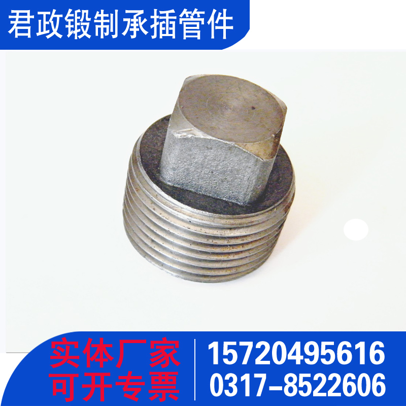 A105补芯堵头 方形丝堵 圆形堵头 六角丝堵 六角堵头 承插管件 锻制管件厂家 国标GB/T14383
