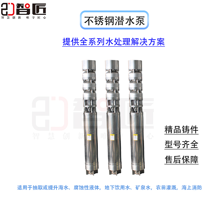 智匠 不锈钢水泵 厂家直销 非标定制