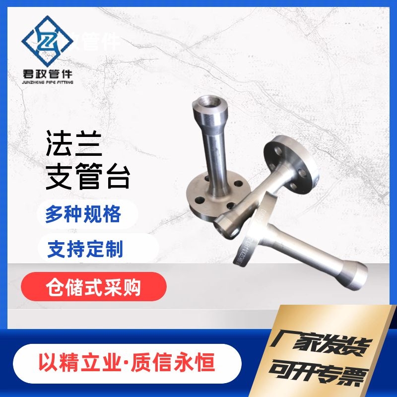来图定制法兰支管台 法兰支管台厂家 锻制管件厂家 承插件