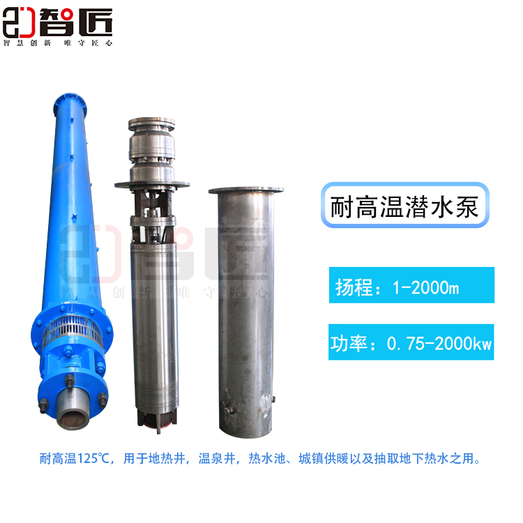 智匠 温泉潜水泵 专业水泵生产厂家 品牌保障