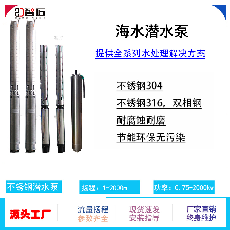 智匠 海水潜水泵 售后无忧 欢迎咨询