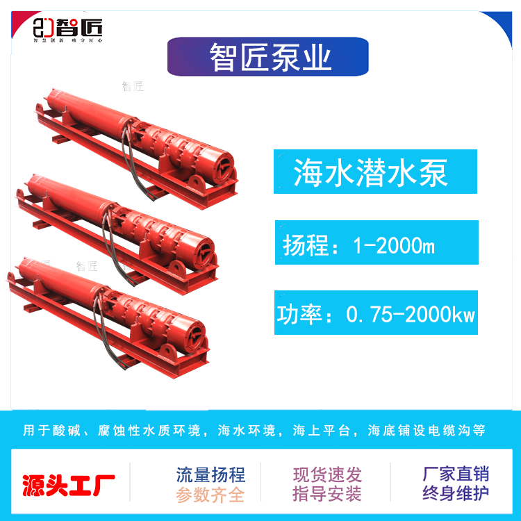 智匠 海水潜水泵 只做精品 质量保证