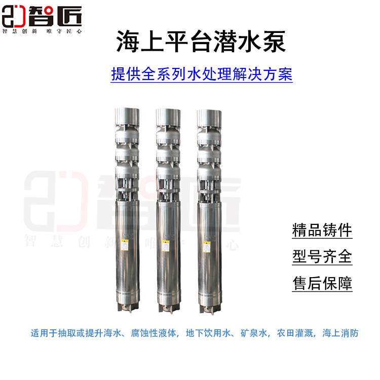 智匠 海水潜水泵 尺寸齐全 提供选型方案