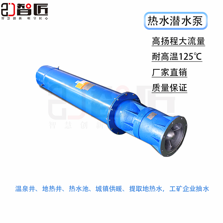 智匠 温泉潜水泵 型号齐全 现货供应