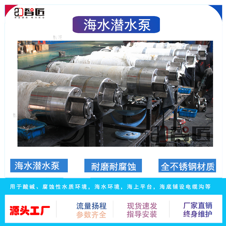 智匠 海水潜水泵 型号齐全 现货供应