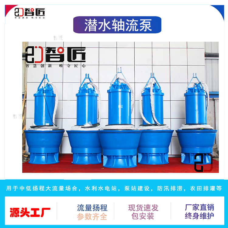 智匠 潜水轴流泵 只做精品 质量保证