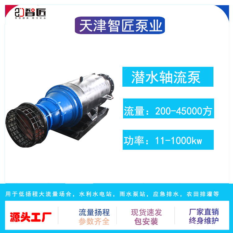 智匠 潜水轴流泵 专业水泵生产厂家 品牌保障