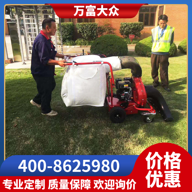 FH－6580小型吸叶机 公园路面吸叶机 北京多功能吸叶机 落叶清扫设备 公园路面落叶清理机