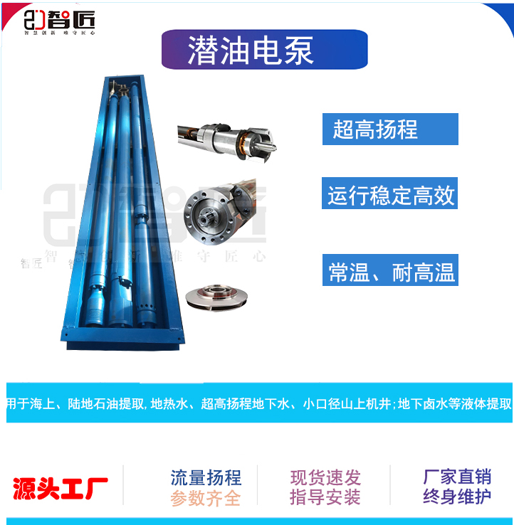 智匠 潜油电泵 厂家直销 非标定制
