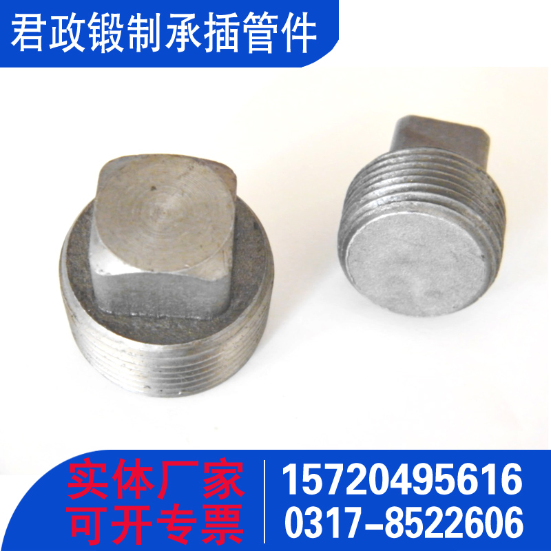 A105补芯堵头 方形丝堵 圆形堵头 六角丝堵 六角堵头 承插管件 锻制管件厂家 国标GB/T14383