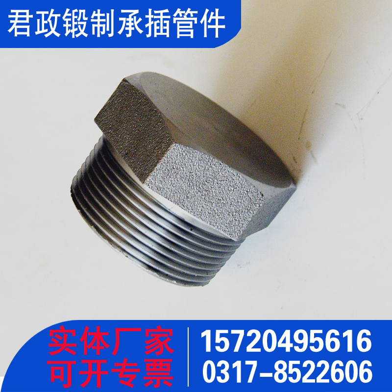 圆形堵头 六角丝堵 六角堵头 承插管件 锻制管件厂家 美标ASME B16.11