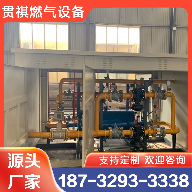 CNG减压装置 现货供应货源充足 展示图4