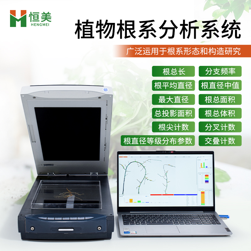根系分析仪 植物根系扫描系统 源头厂家 贴心服务
