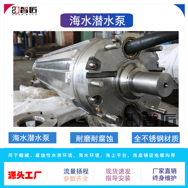 智匠 海水潜水泵 多年研发 专注品质