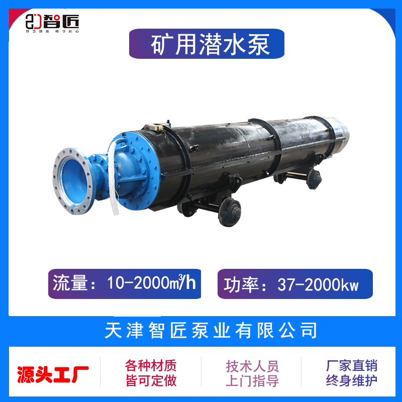 智匠 矿用抢险泵 厂家直销 非标定制