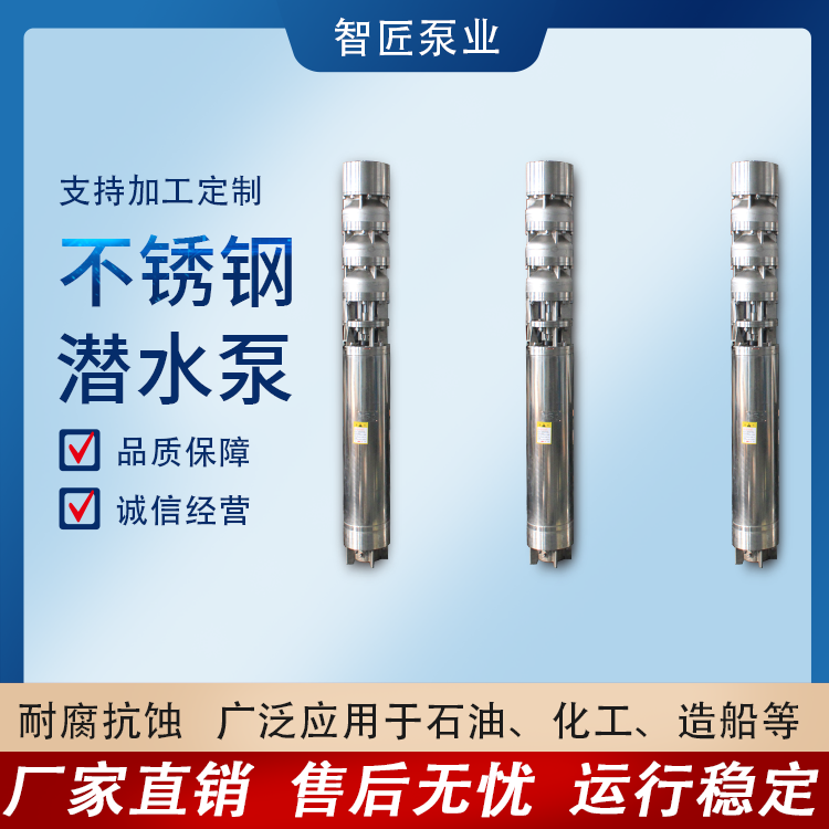 智匠 海水潜水泵 厂家直销 非标定制