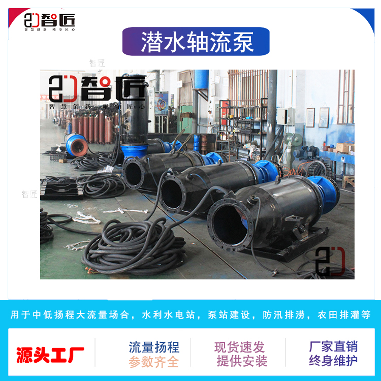 智匠 潜水轴流泵 型号齐全 现货供应