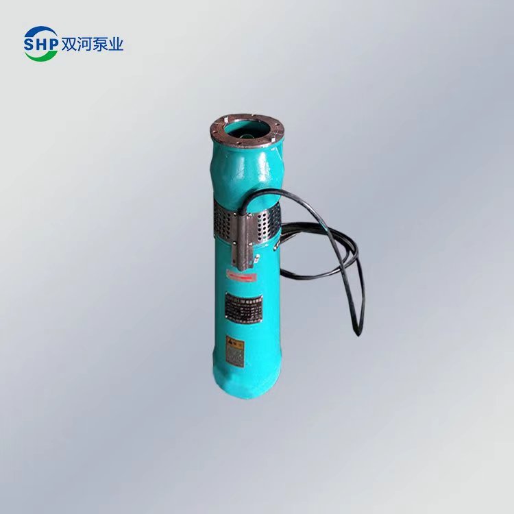 喷泉泵 耐磨耐腐蚀 海水养殖泵 不锈钢节能泵 潜水设备