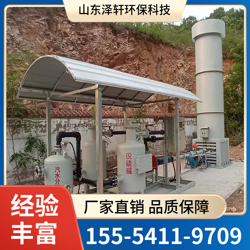 结构合理 精工制作 沼气火炬