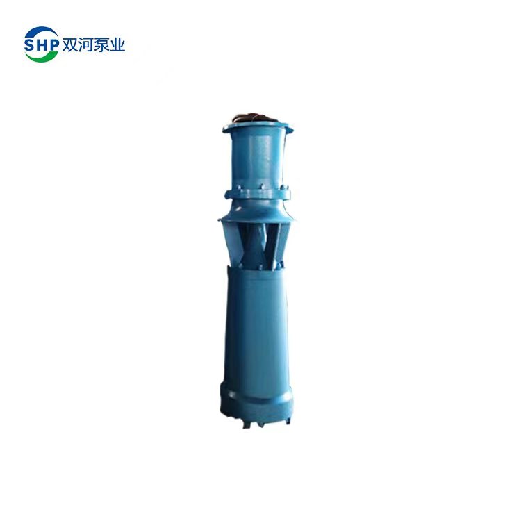 中吸式轴流泵 市政排水立式水泵 小型防汛排涝泵 潜水泵