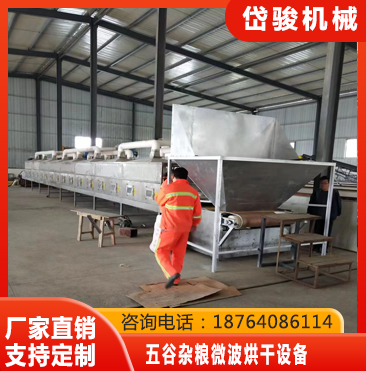 五谷杂粮微波烘干设备快速烘干-节能环保；运行稳定