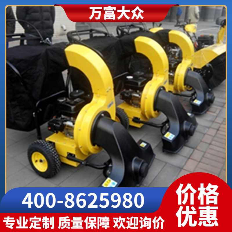 FH－6573小型吸叶机 落叶吸叶机 多功能吸叶机 落叶吸拾机 园林吸叶机 FH万富富华