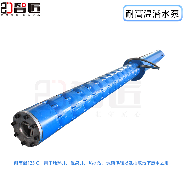 智匠 温泉潜水泵 厂家直销 非标定制