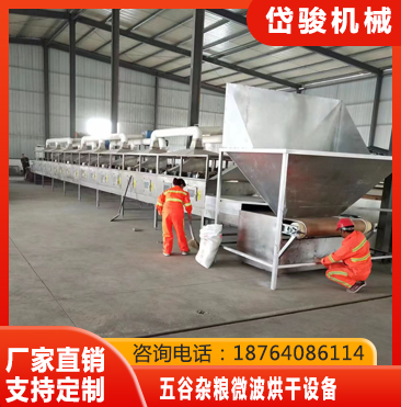 五谷杂粮微波烘干设备快速烘干-节能环保；运行稳定高效