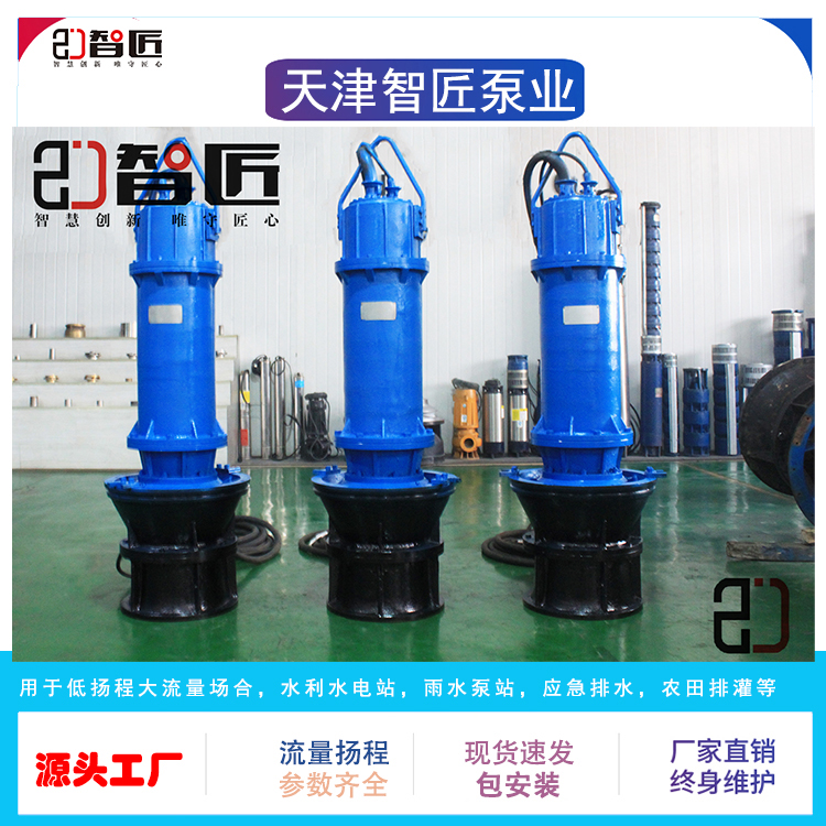 智匠 潜水轴流泵 尺寸齐全 提供选型方案