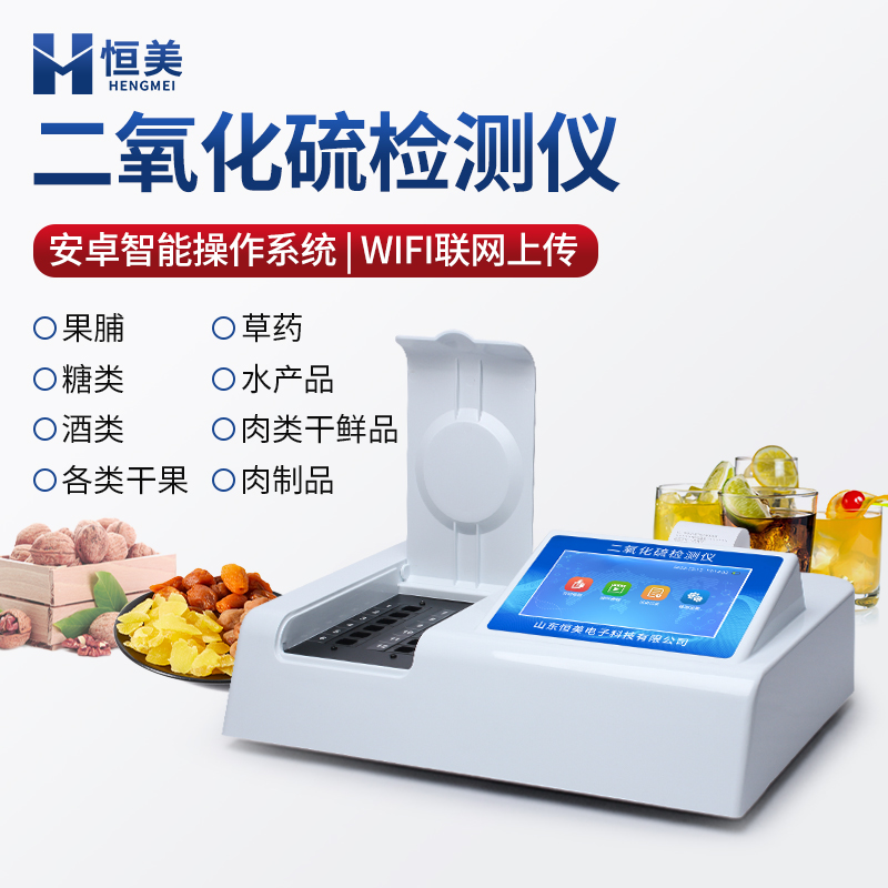 二氧化硫检测仪  内置打印机