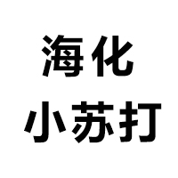 山东海化小苏打生产有限公司